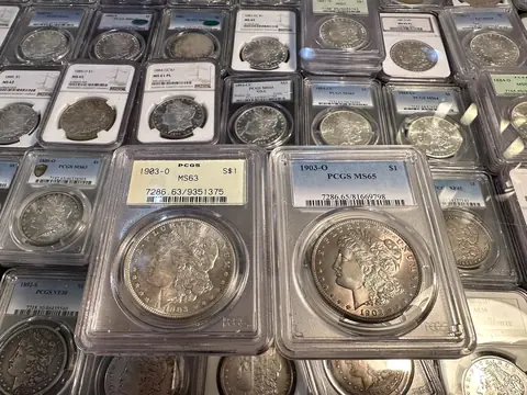 Morgan dollars in graders' plastic holders laid out in rows, two PCGS holders at the front